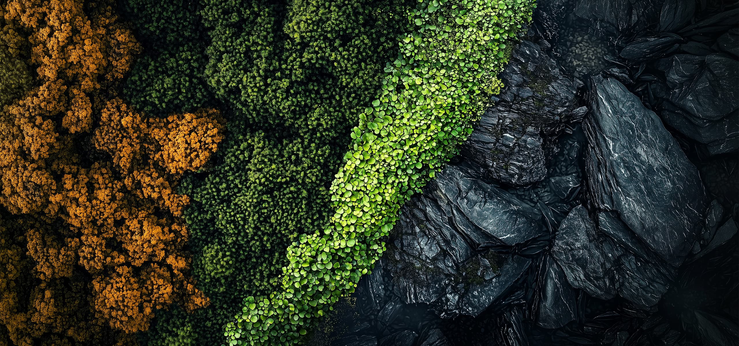 Header-Nature.jpg