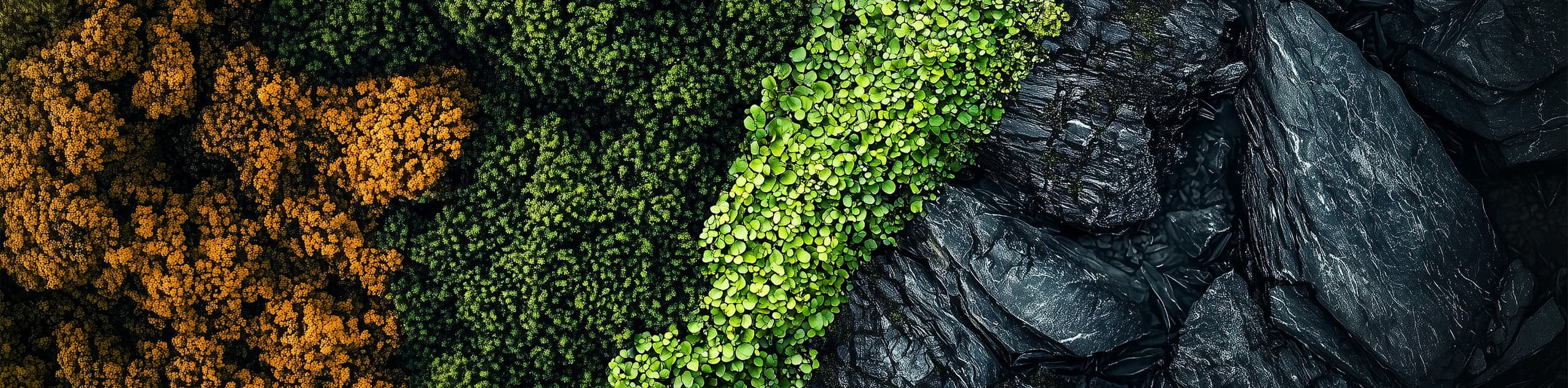 Header-Nature.jpg